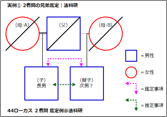 法科研 兄弟鑑定