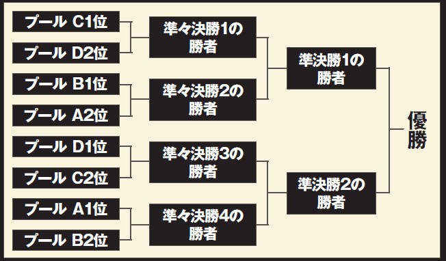 ラグビーワールドカップ2019日本大会