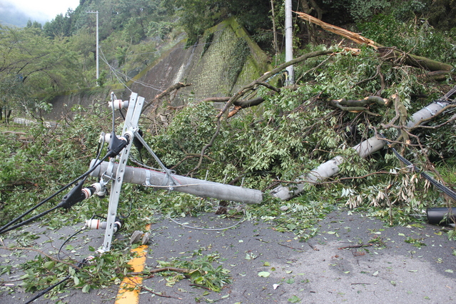 台風15号による災害