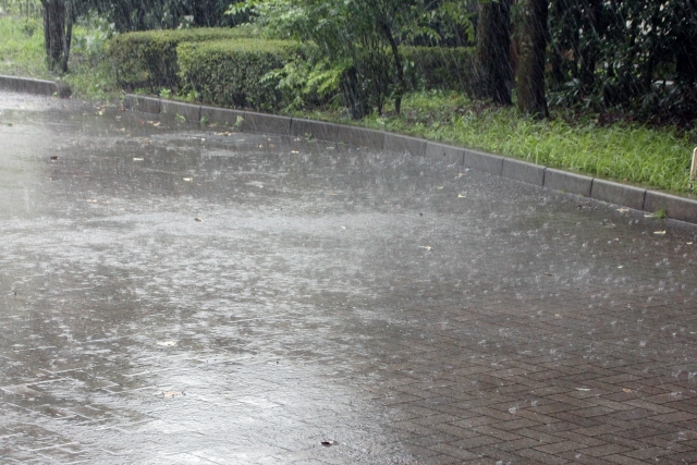 雨