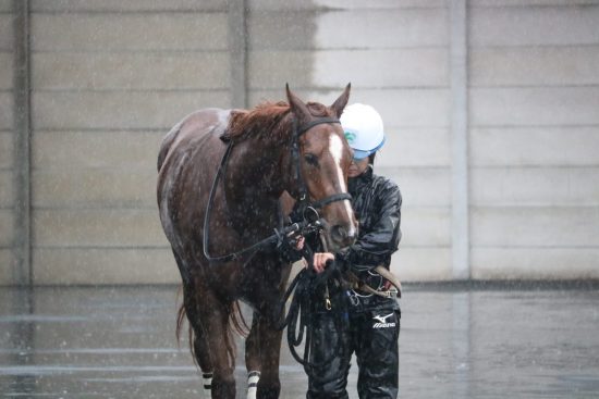 能力試験・大雨のパドック