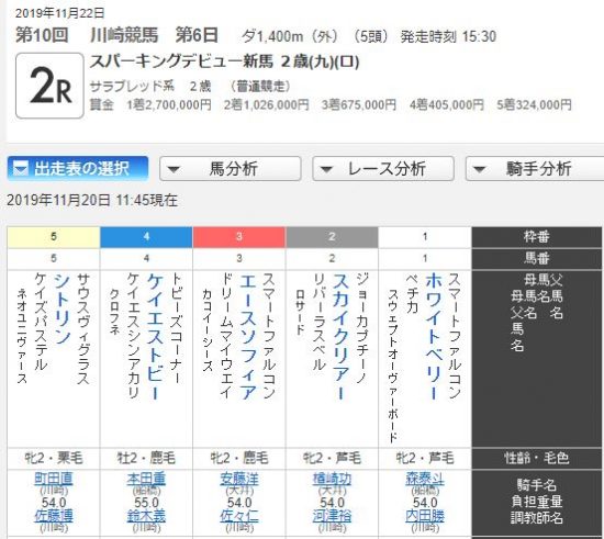 川崎競馬2R新馬戦