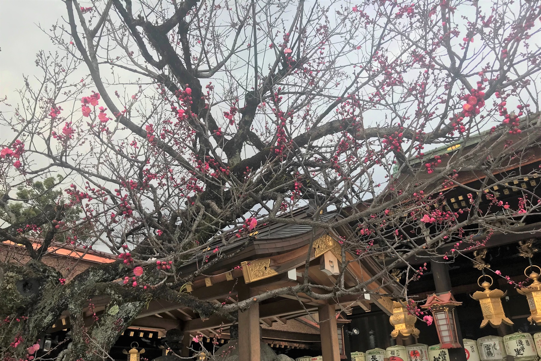 北野天満宮（京都市上京区）