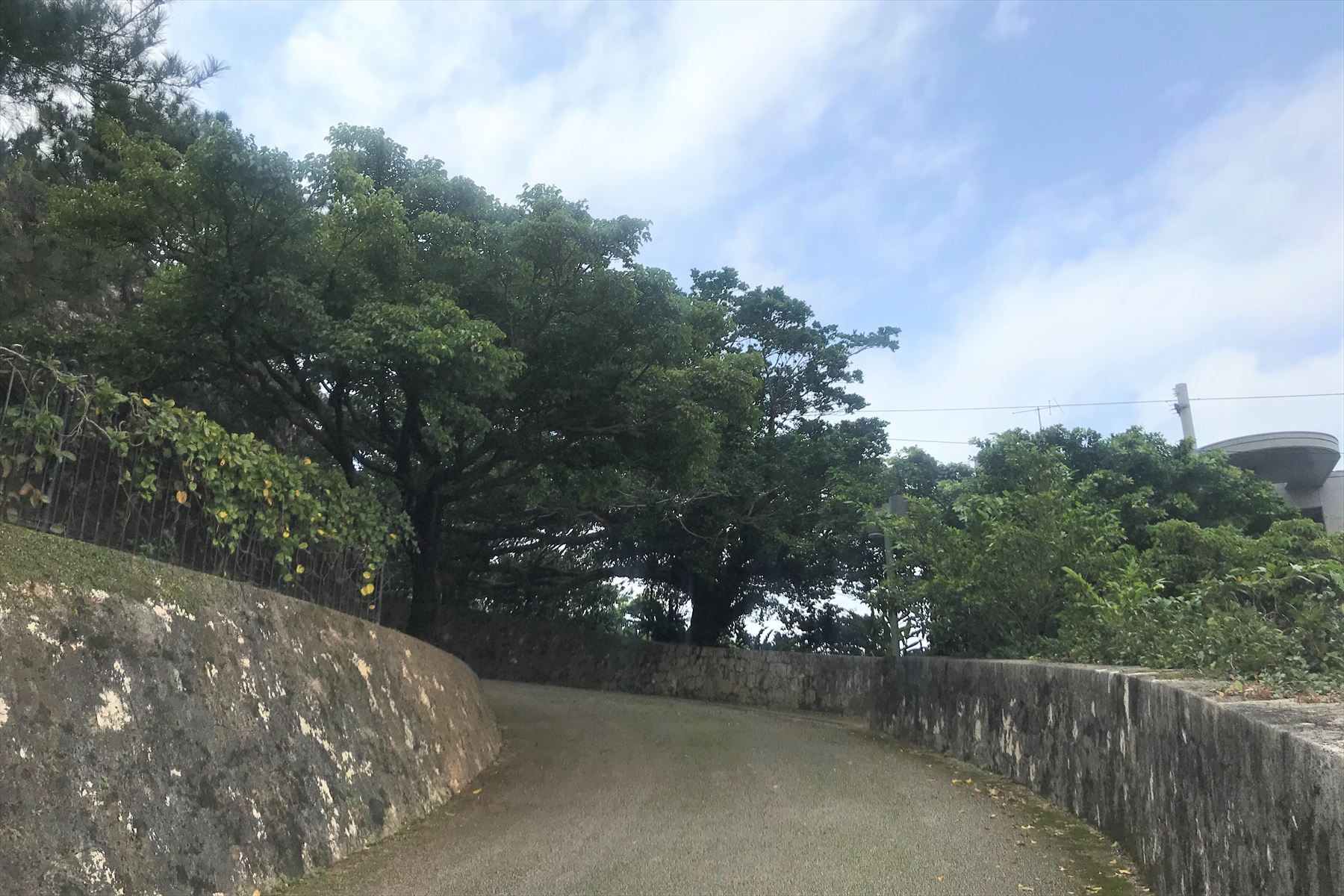 城壁側の道