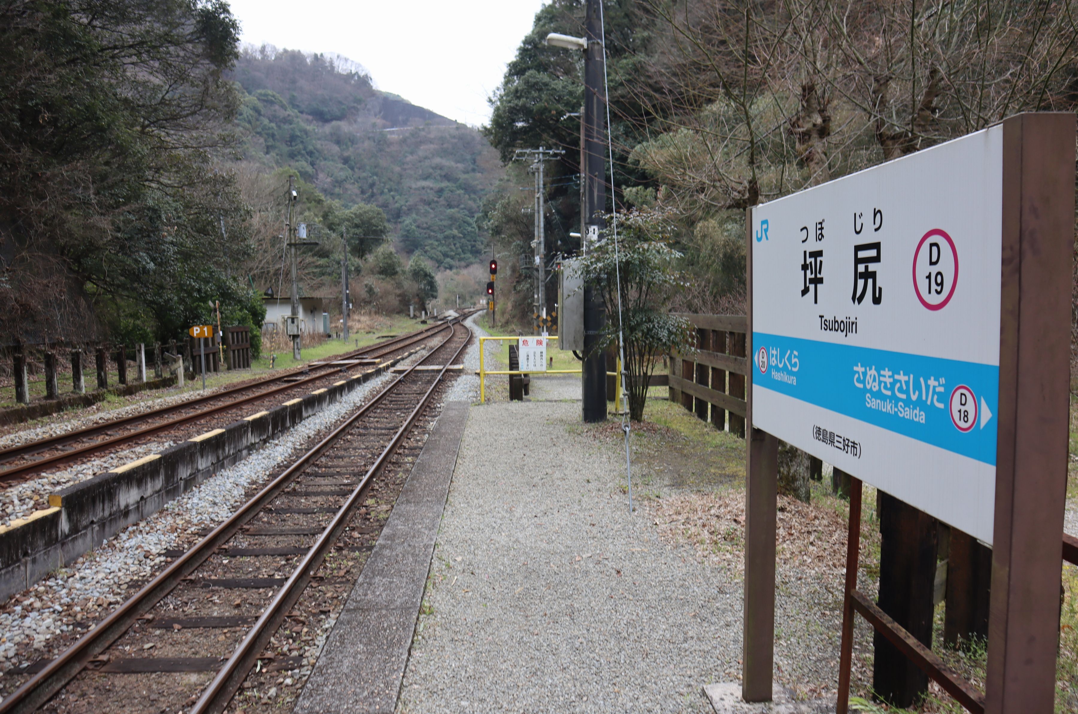 正面の山の中腹に展望台がある