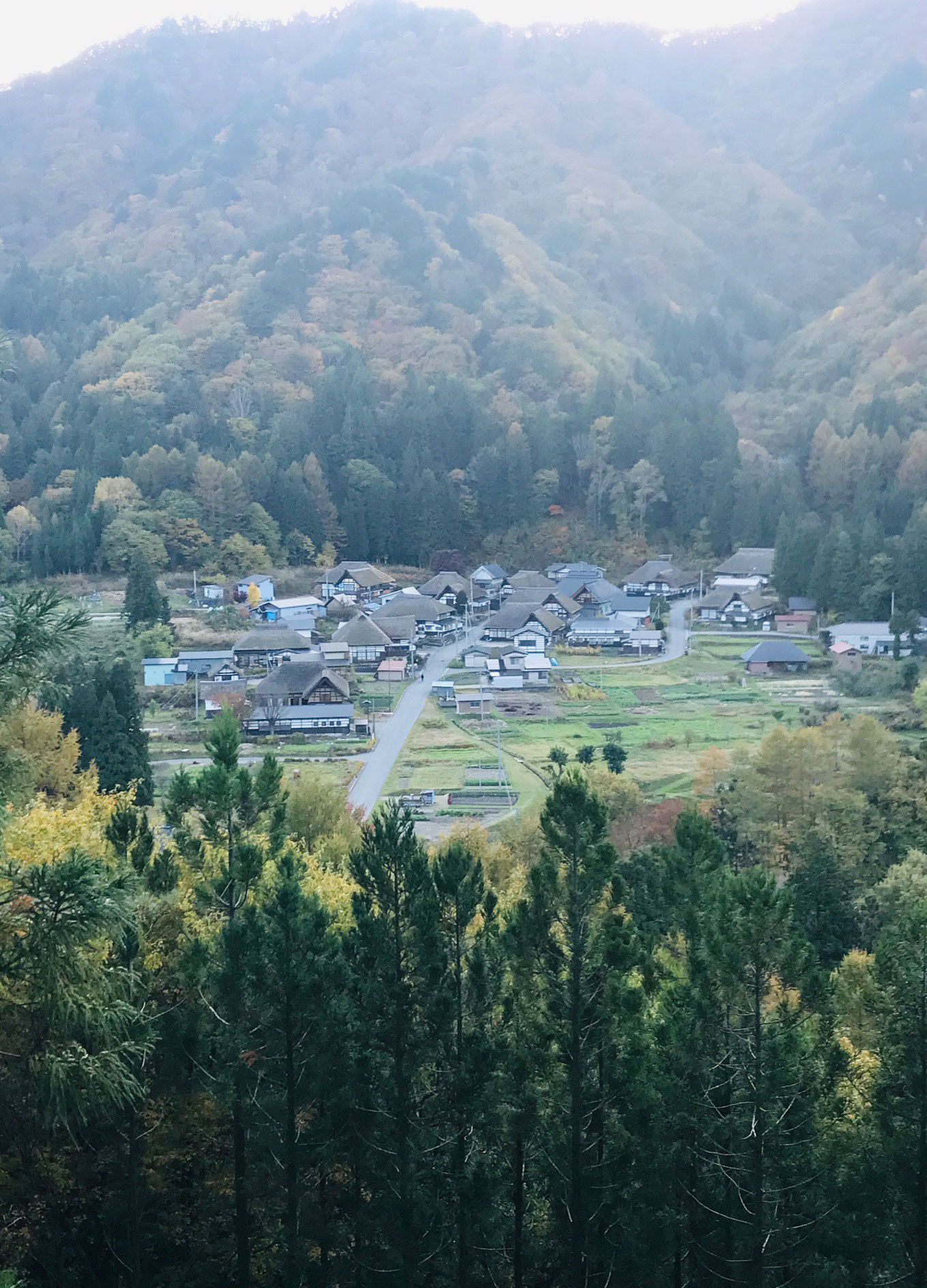 コロナ移住という選択肢