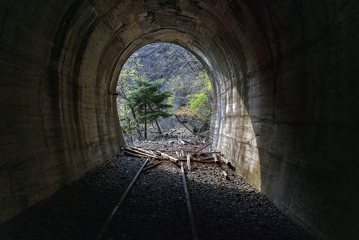 ダム資材運搬路跡地