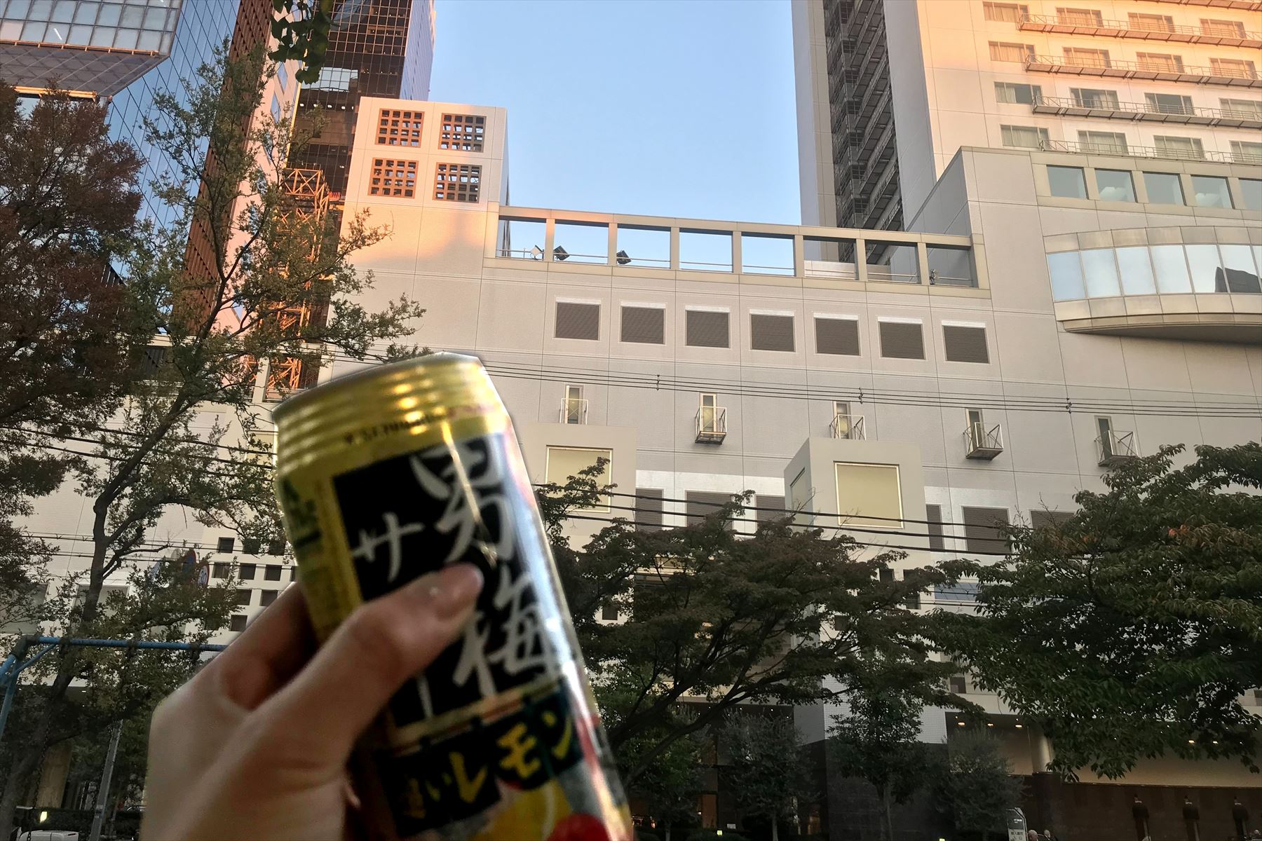 明るい時間に飲む酒うまい