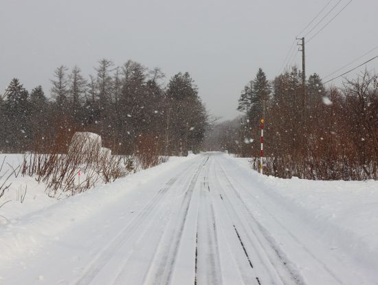 駅前の道沿いにも何もない