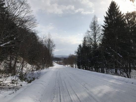 歩いている途中で雪が止んでくれて助かった