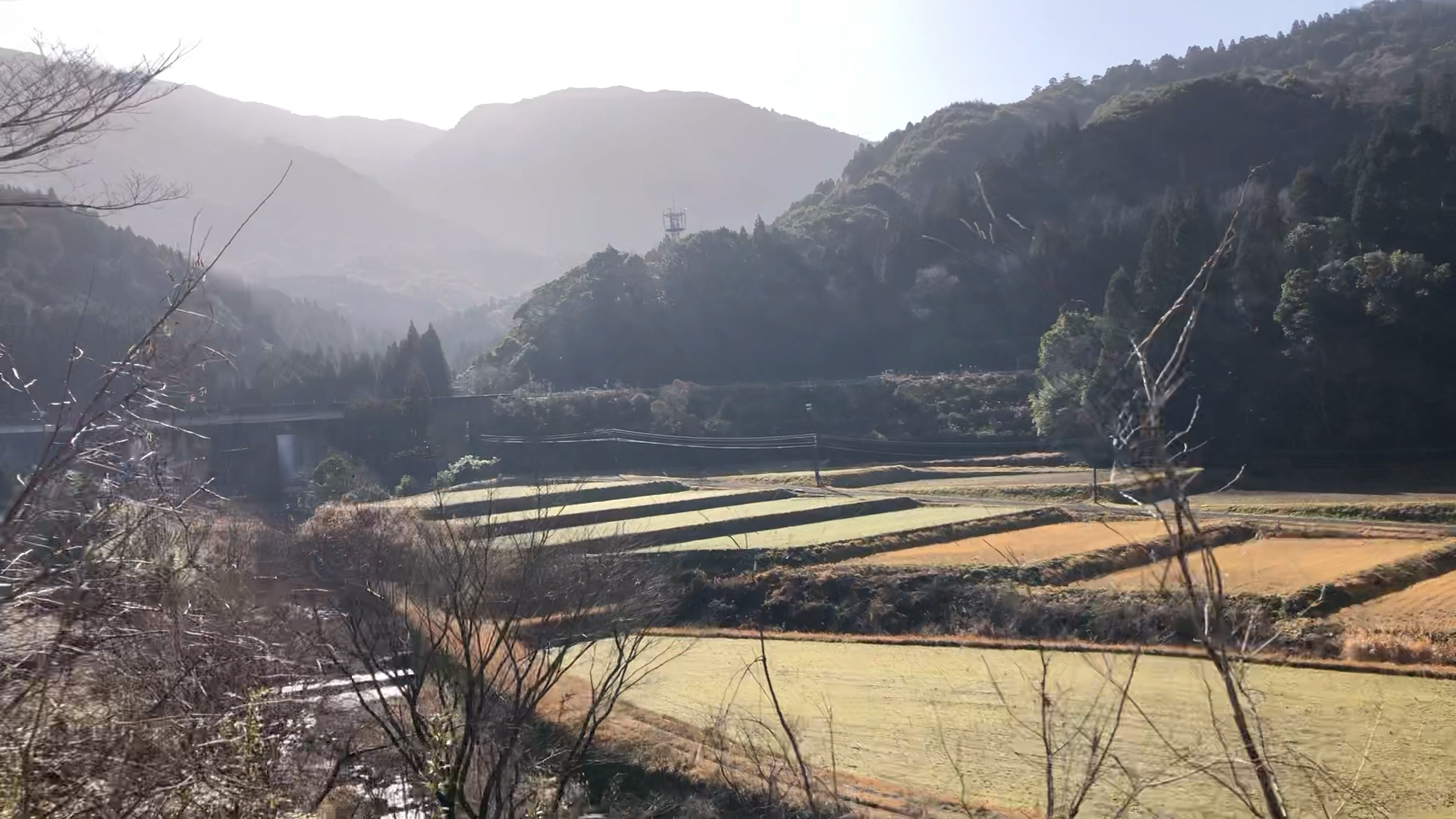 鹿児島