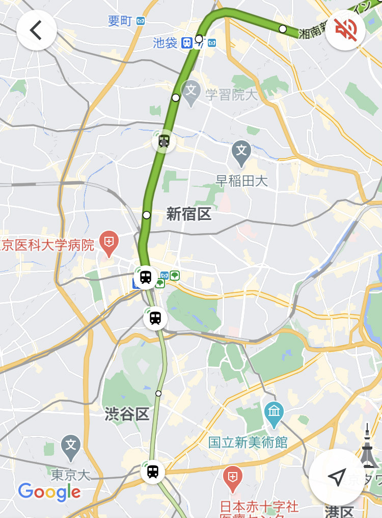 google map