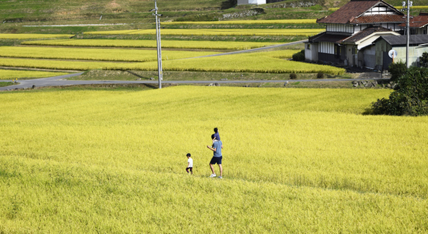 田舎