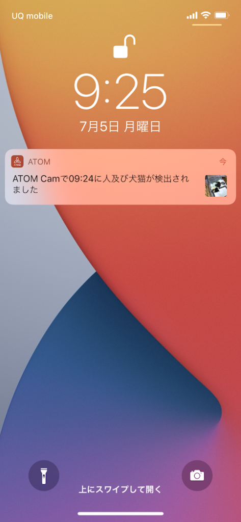 atom Cam 2