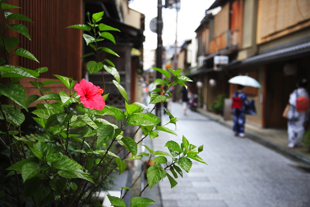 京都