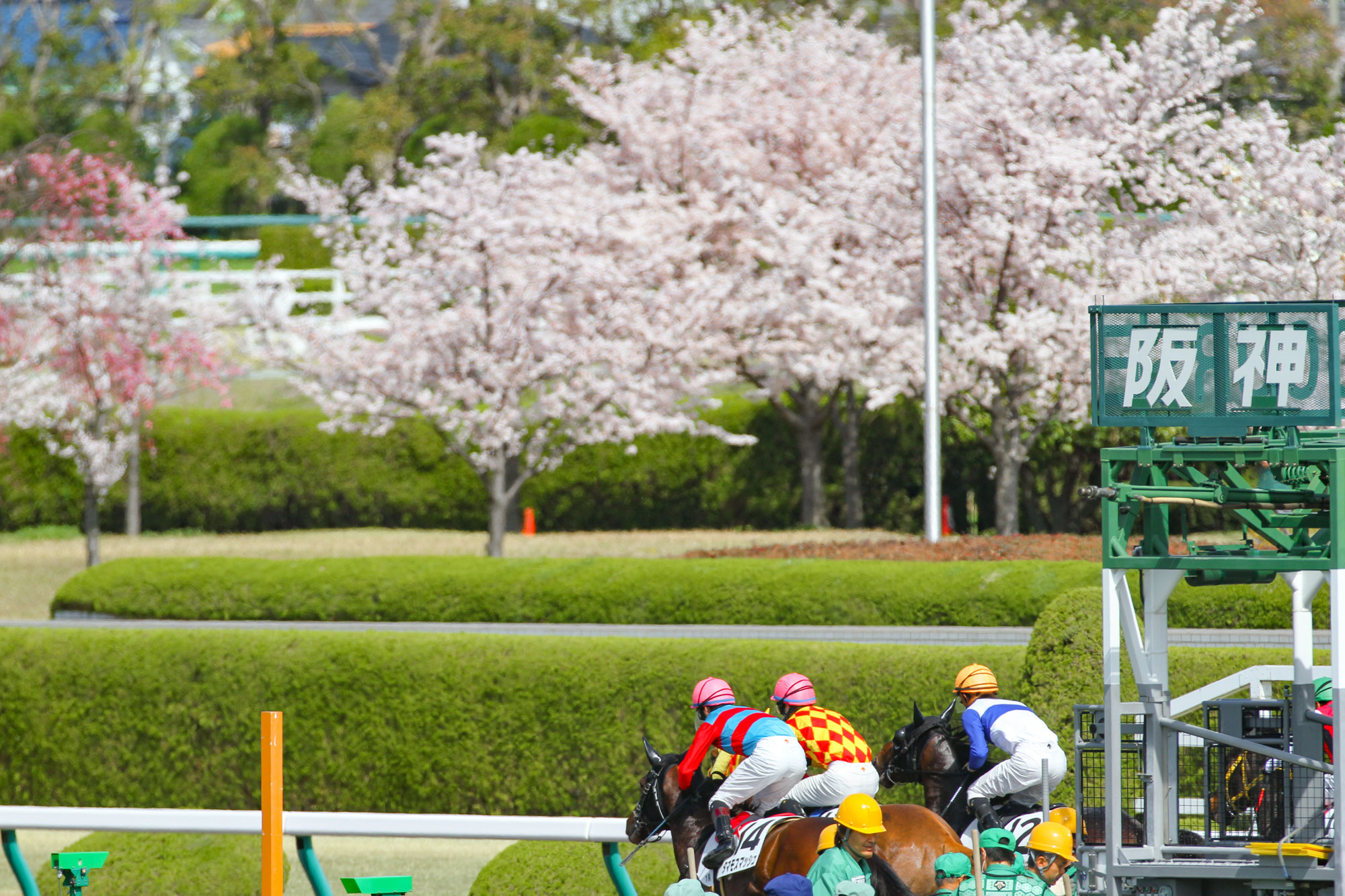 阪神競馬場