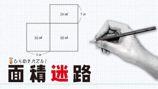 『ひらめきパズル！面積迷路』