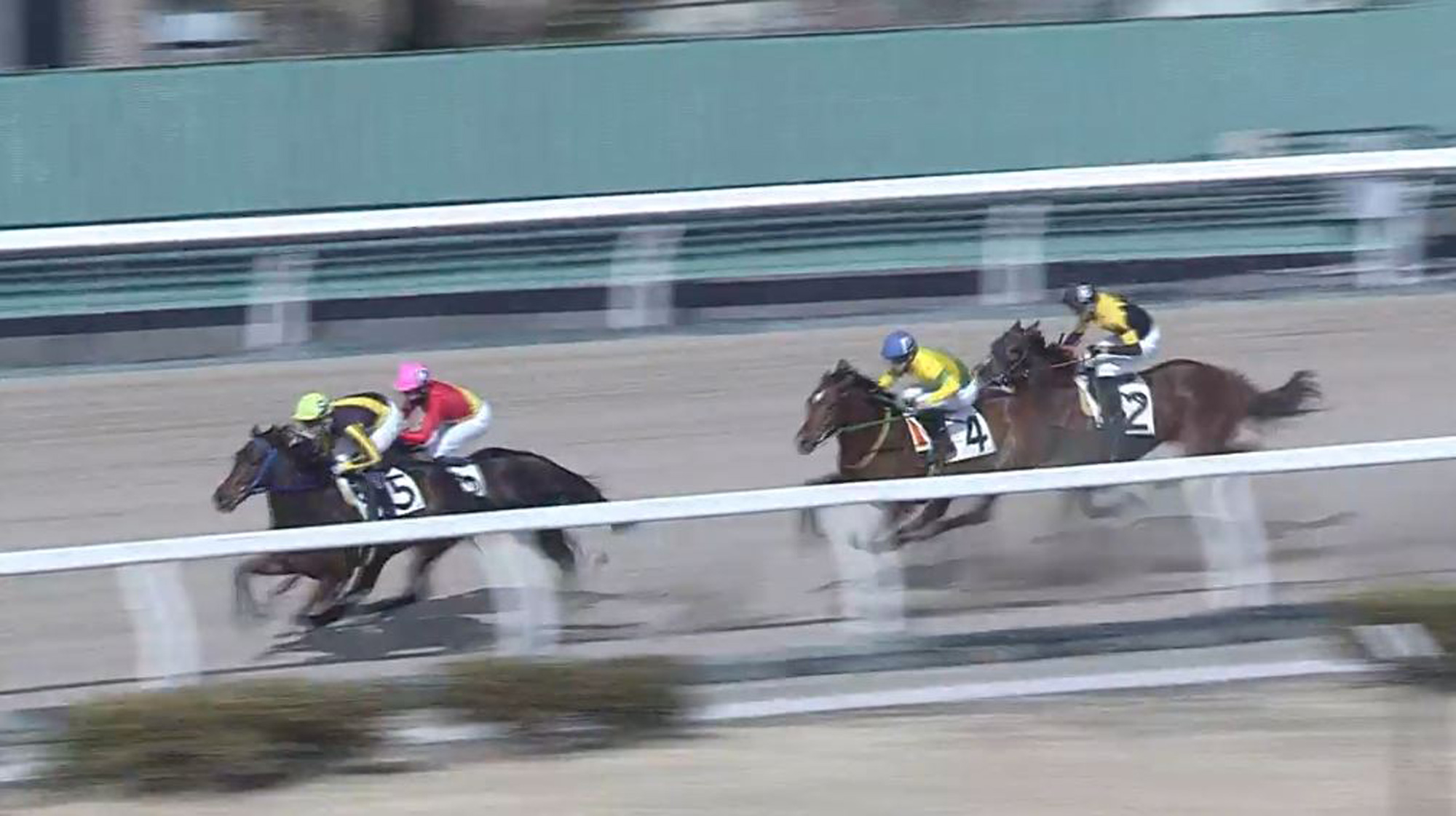 浦和競馬