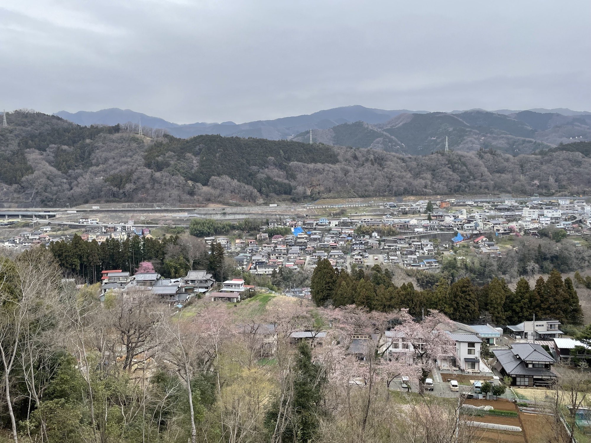 緑のラブレター