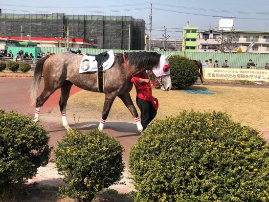 名古屋競馬リーゼントジャンボ