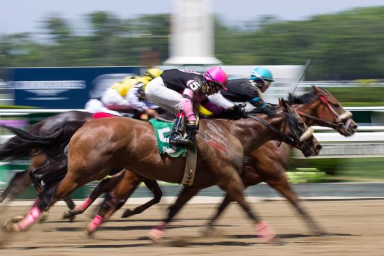 勝SPA 競馬2強