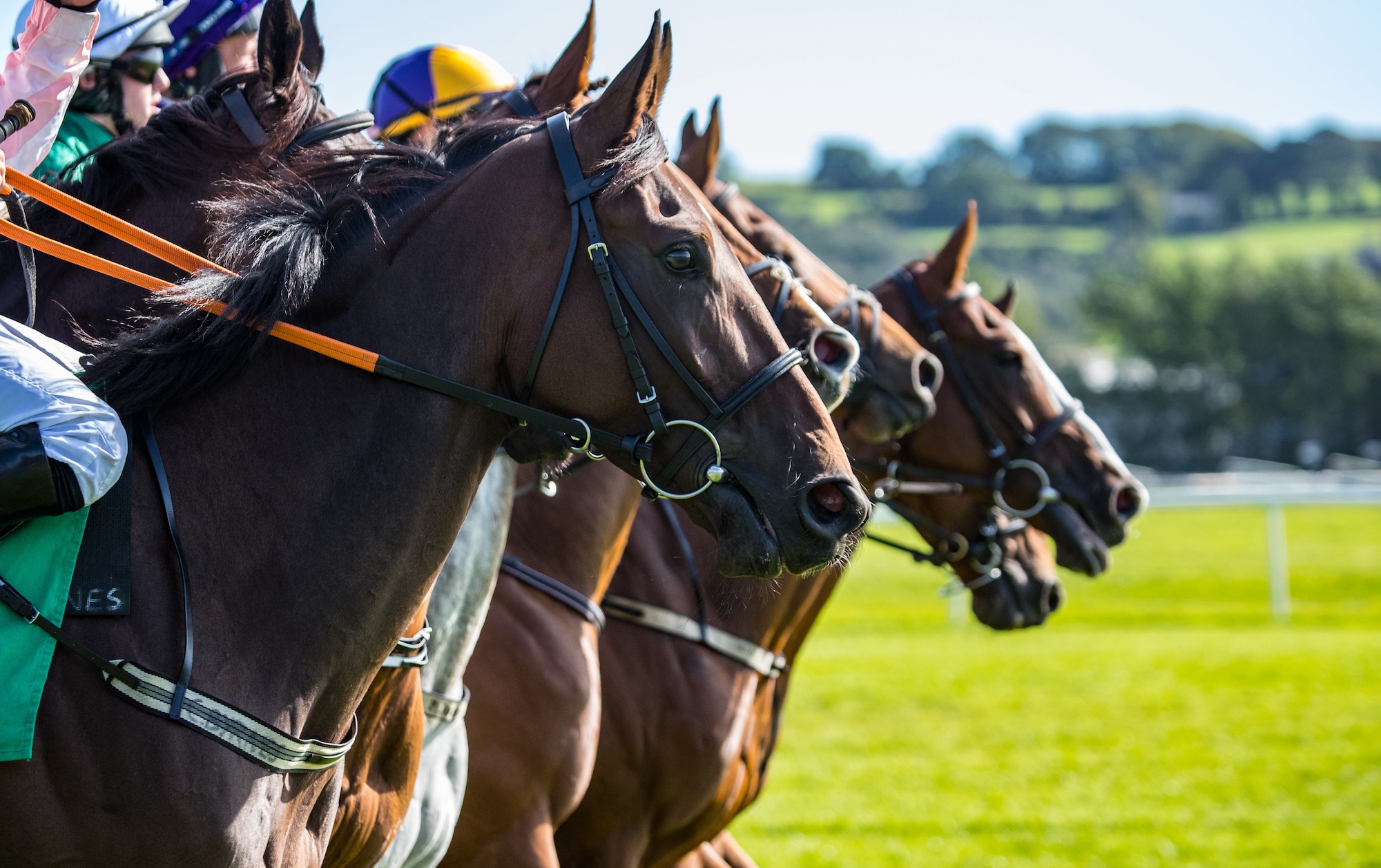 競馬イメージ