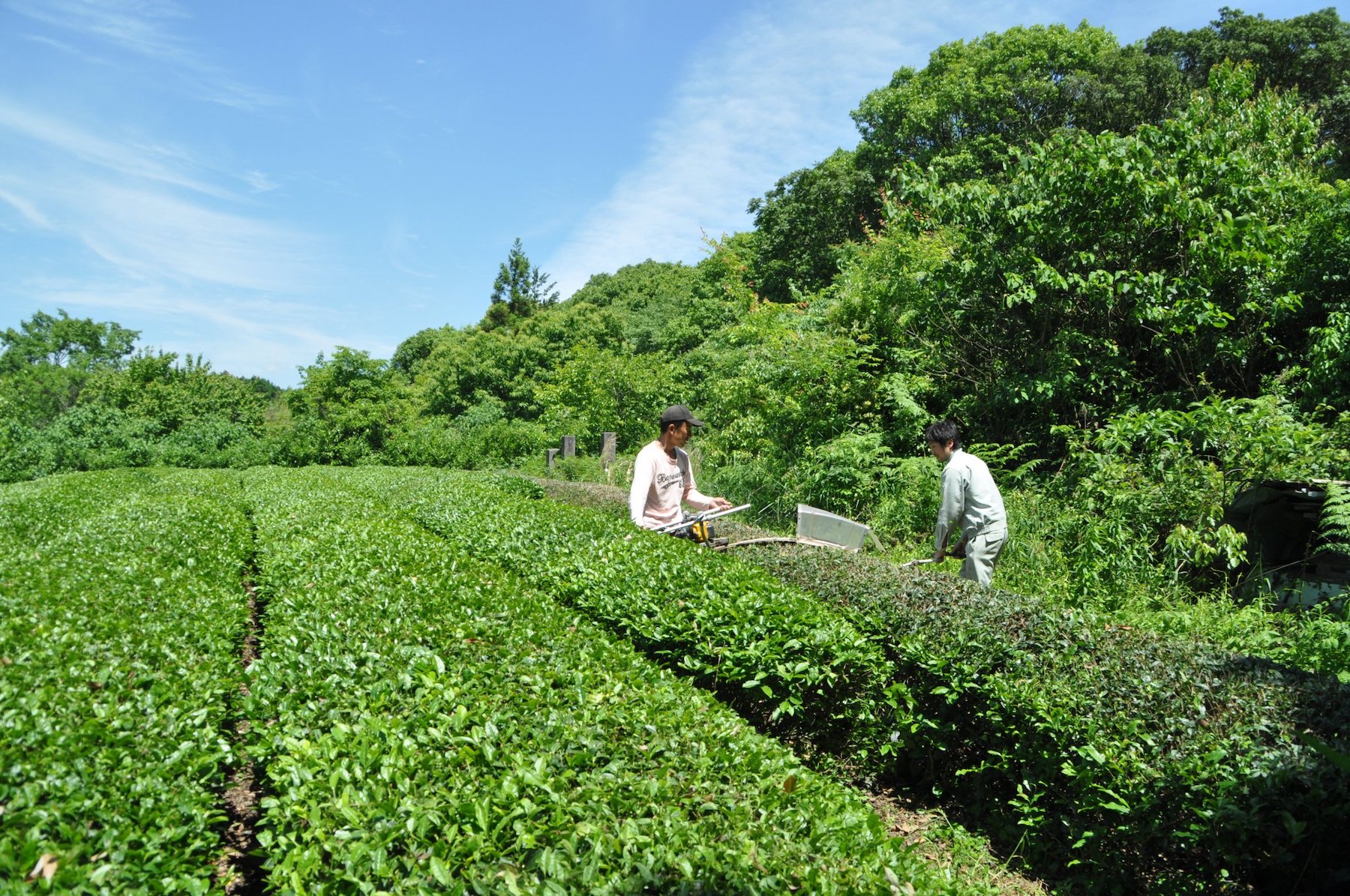 坂本治郎