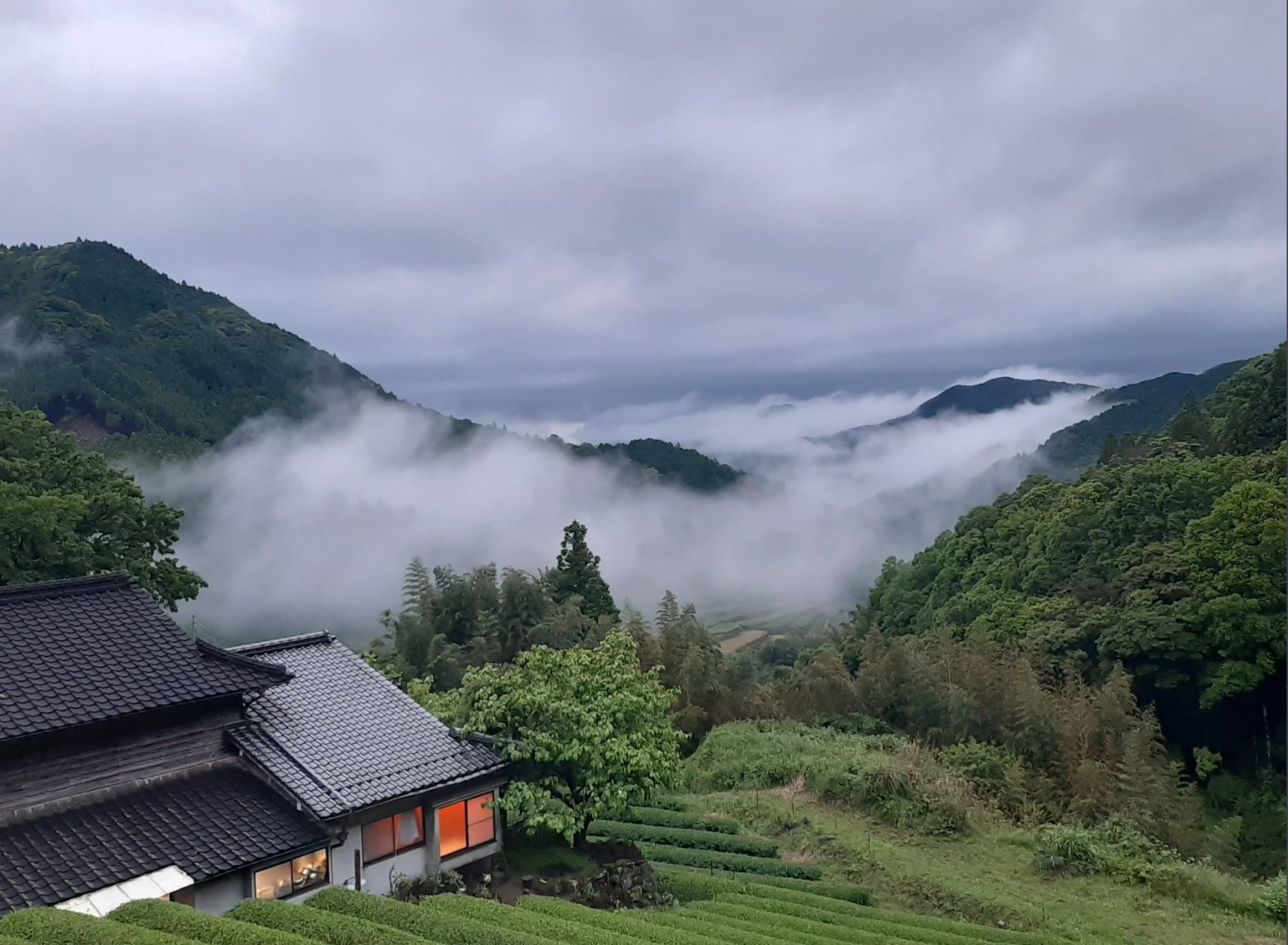 坂本治郎