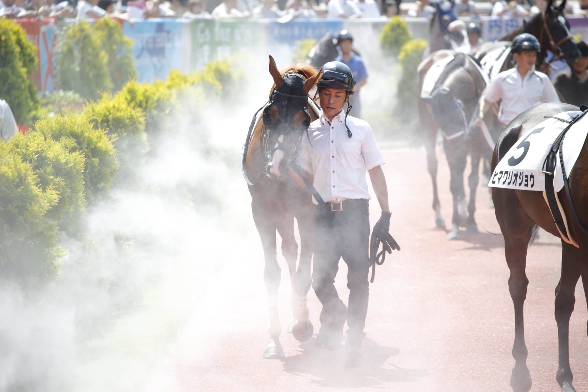 夏競馬