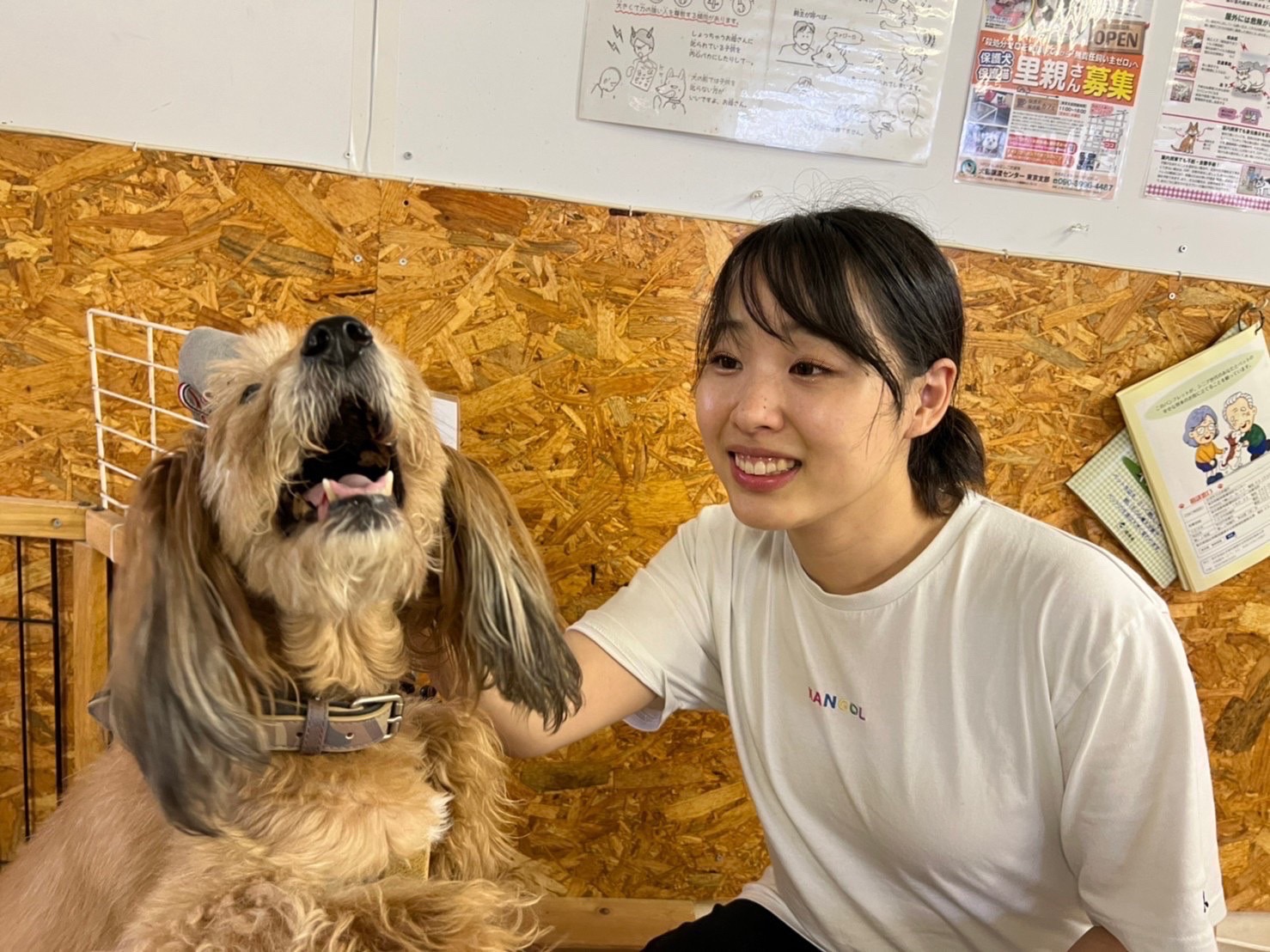 保護犬問題