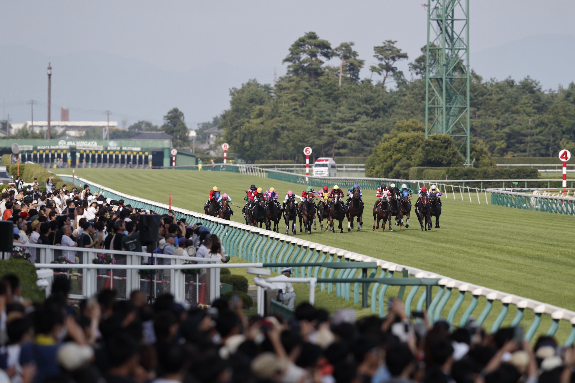 競馬写真