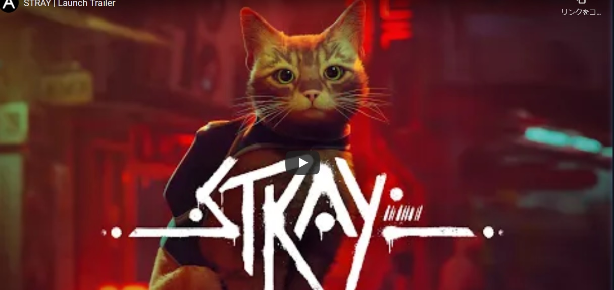 Stray