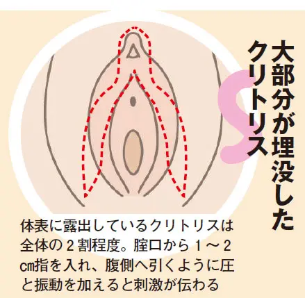 男が勘違いしている性愛論の真実