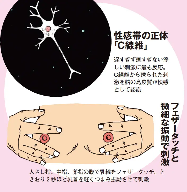 男が勘違いしている性愛論の真実