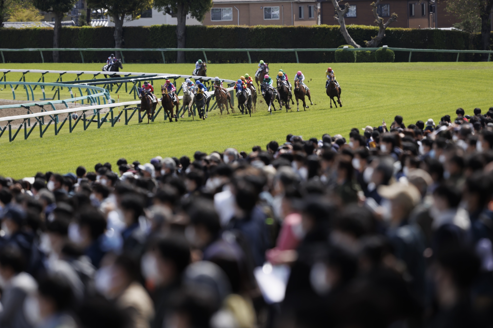 競馬