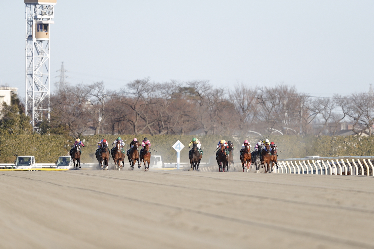 競馬