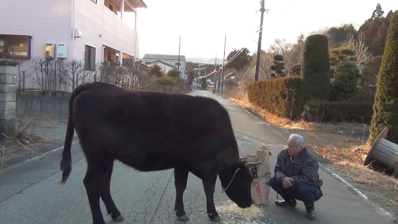 ナオト、いまもひとりっきり