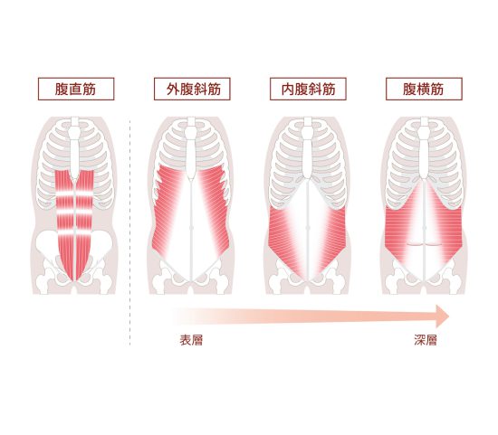 腹筋