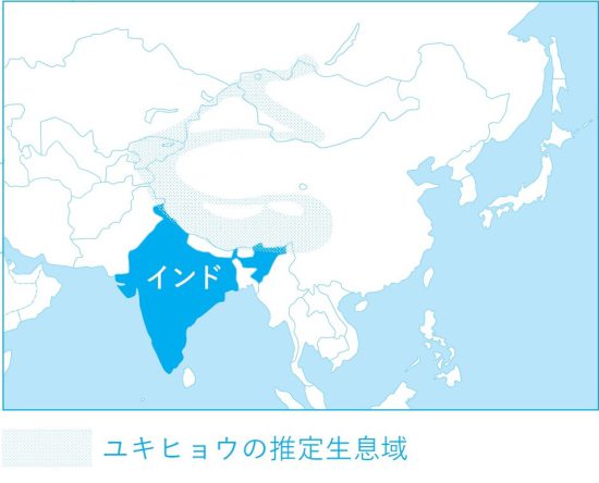 インド生息地