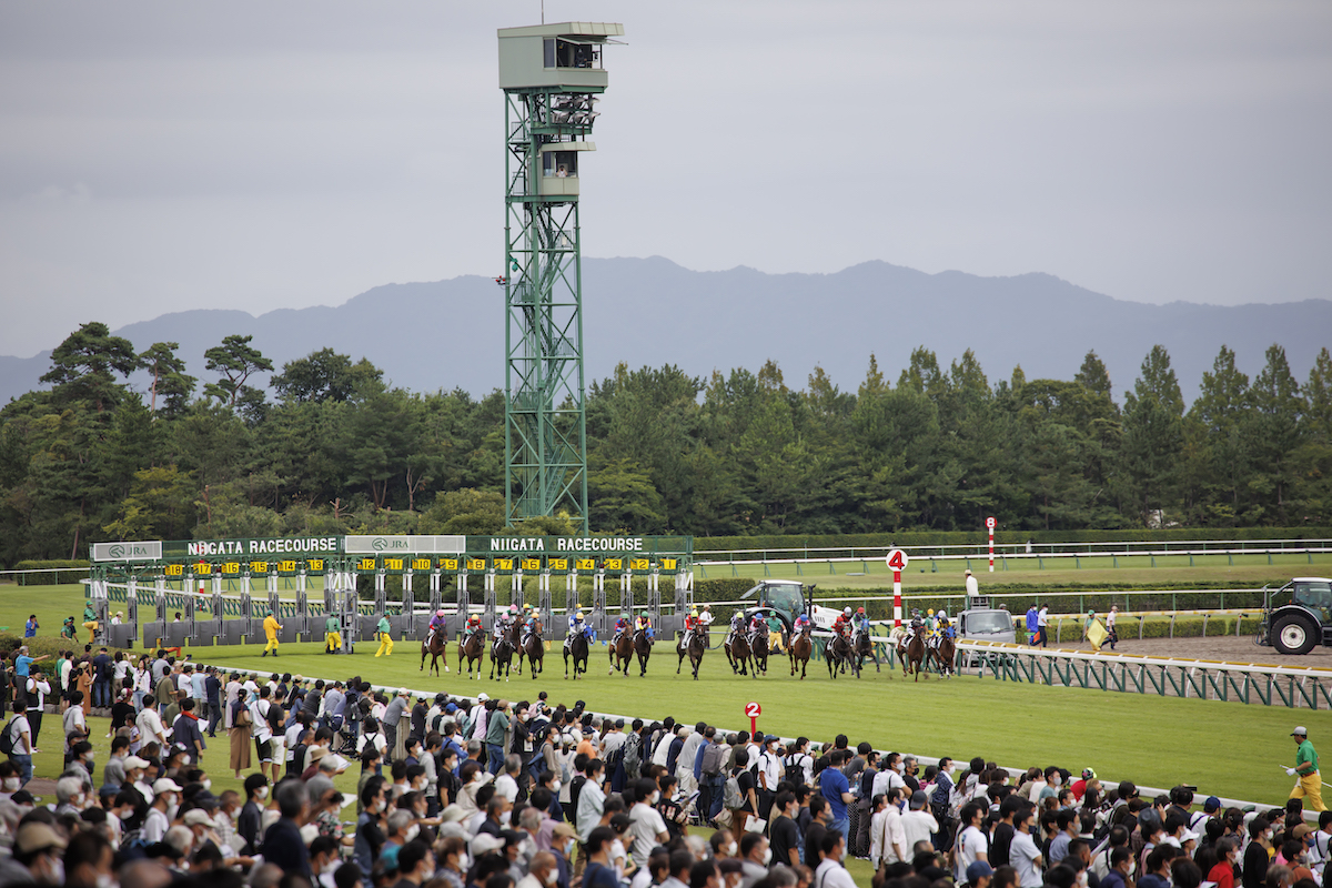 競馬