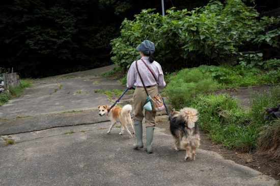 犬の[殺処分ゼロ]現場ルポ