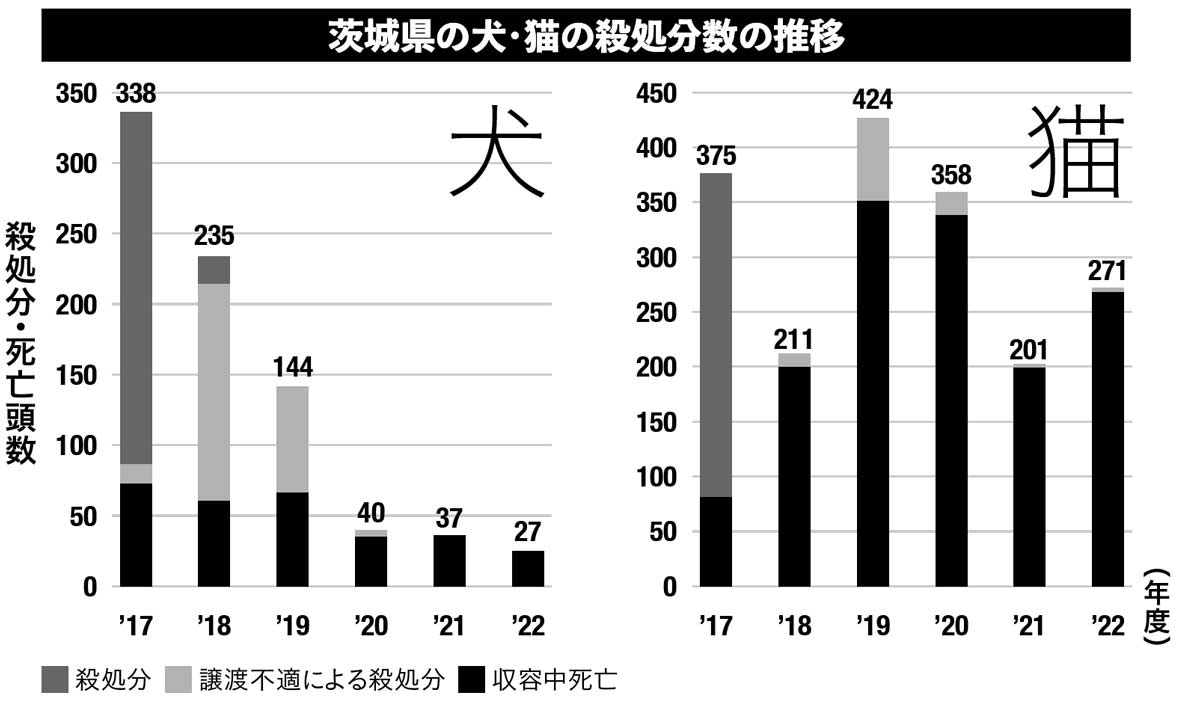 犬の[殺処分ゼロ]現場ルポ