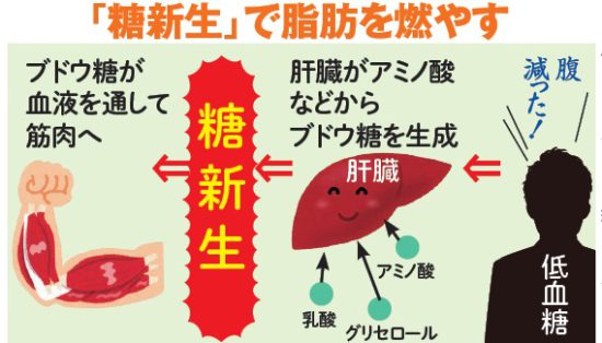 120歳まで生きる食の新常識