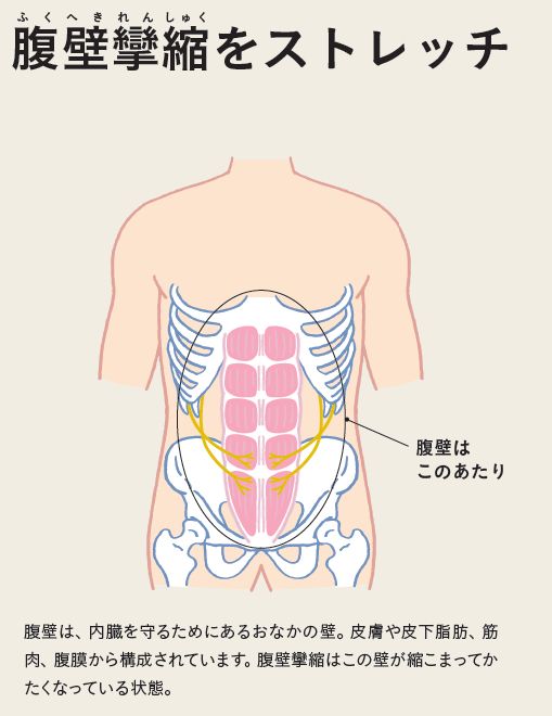 神経系ストレッチ