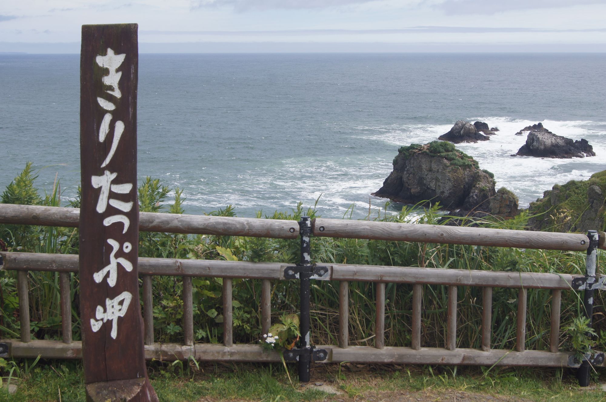 ［日本からラッコ絶滅］の危機を救え！