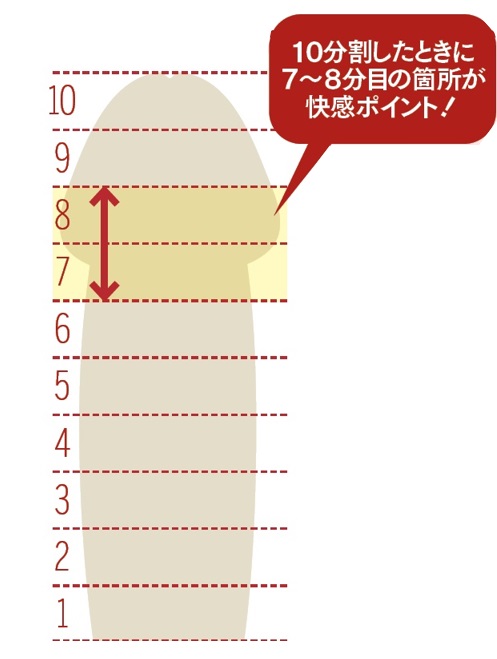 数学者が本気で考えた［SEXの教科書］