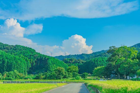 田舎