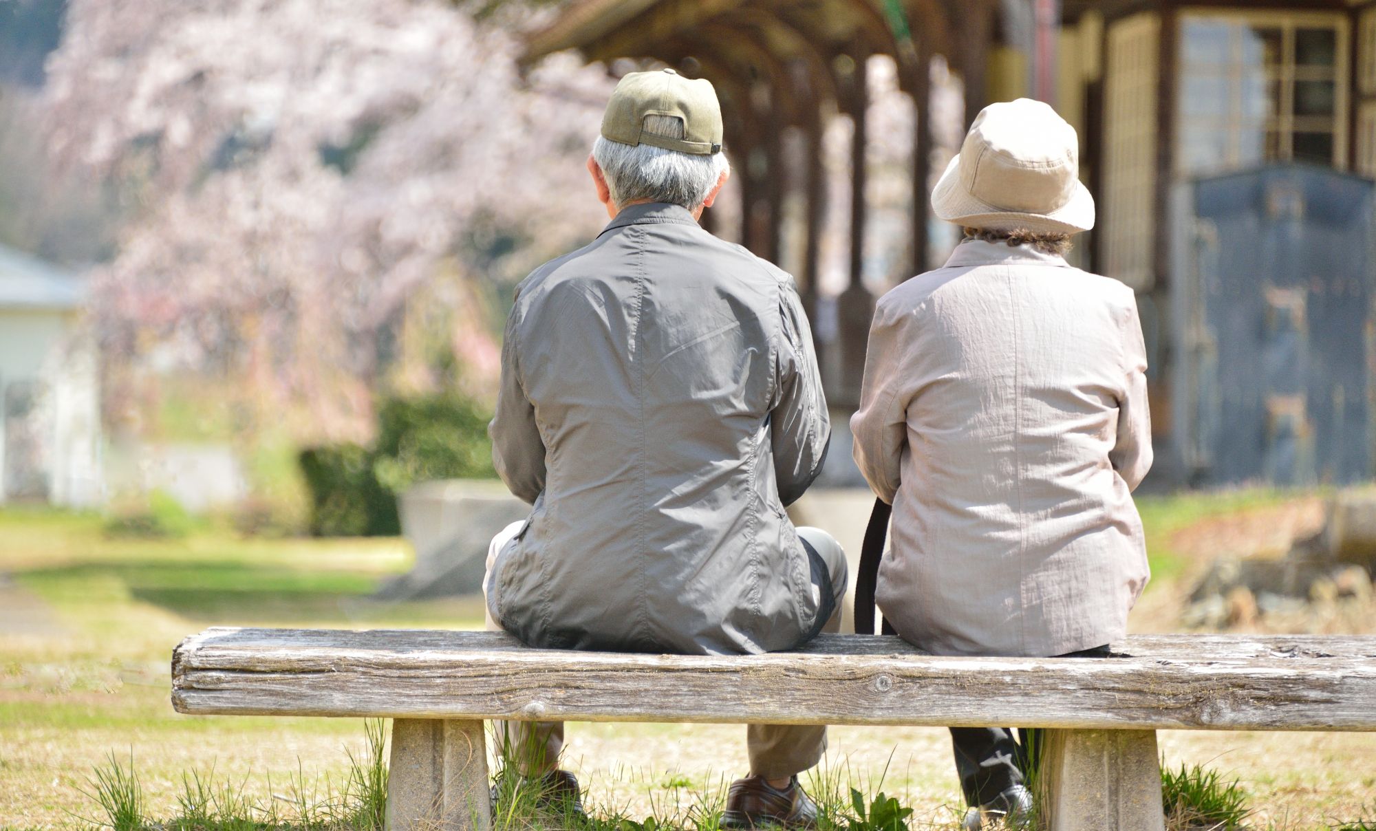 60歳からはやりたい放題［実践編］