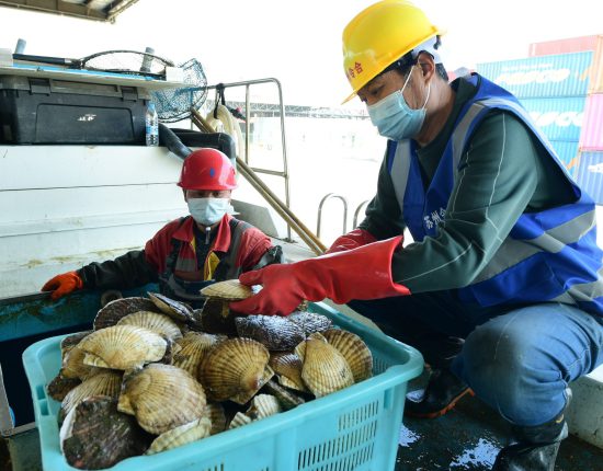 日本のサカナ［中国輸出できない］の衝撃