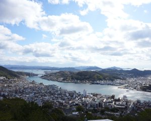 高野豆腐店の春